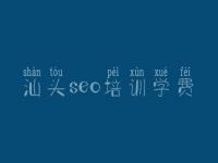網(wǎng)站建設(shè)效果與SEO策略 以重慶與汕頭實(shí)踐為例